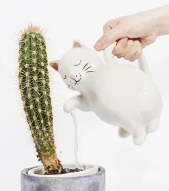 Arrosoir Chat