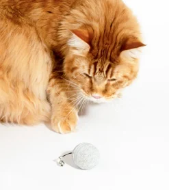 Balle interactive pour chats