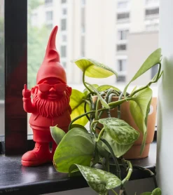 Bernardo le nain de jardin