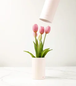 Bouquet de tulipes réalistes