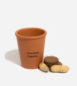 Cacahuètes à faire pousser