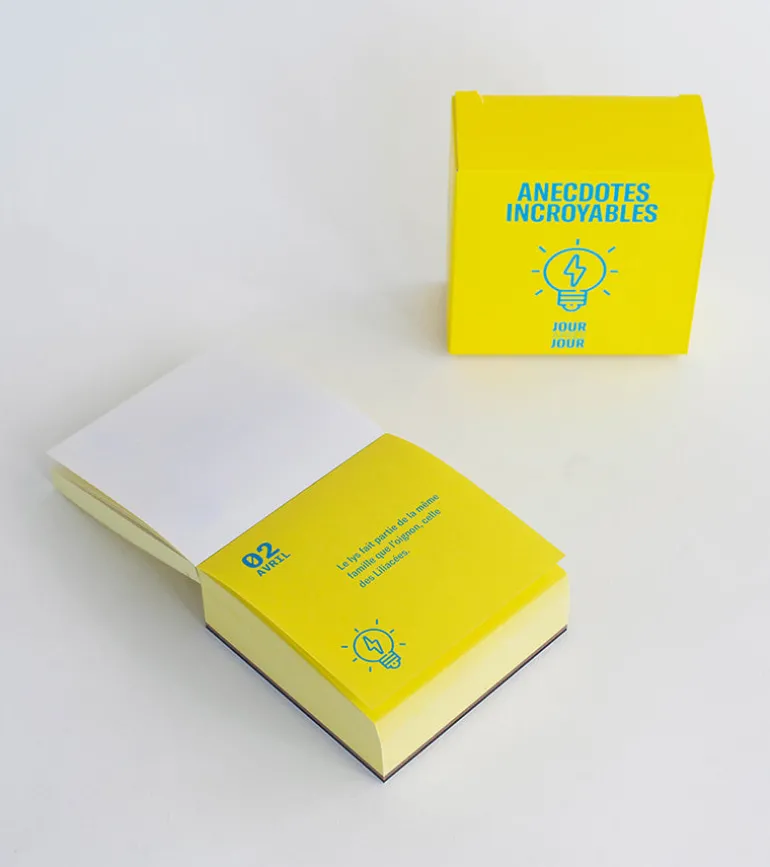 Calendrier Jour après jour - Anecdotes incroyables