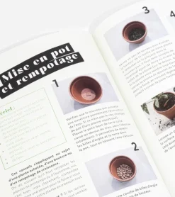 Comment ne pas faire crever ses plantes