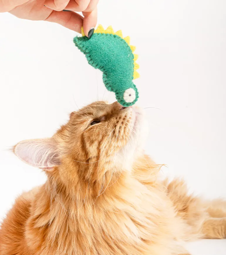 Dino en laine pour chats