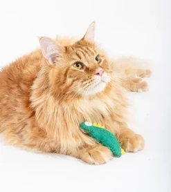 Dino en laine pour chats