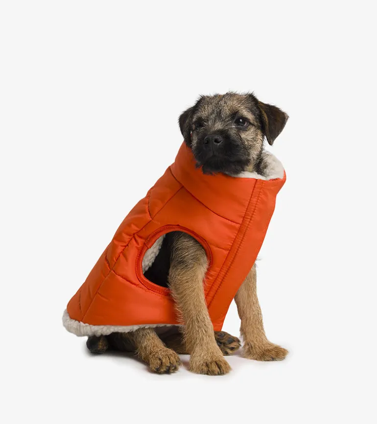 Doudoune en sherpa pour chiens