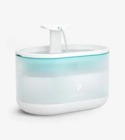 Fontaine à eau pour chats ultra-silencieuse