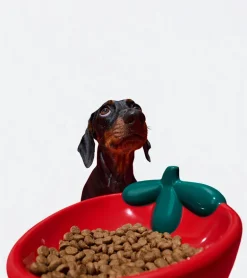 Gamelle fraise en céramique