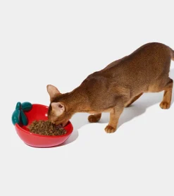 Gamelle fraise en céramique