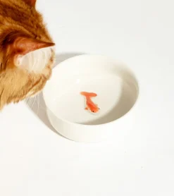 Gamelle leurre poisson pour chats