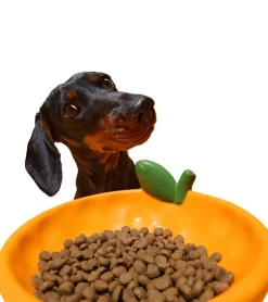 Gamelle mandarine en céramique