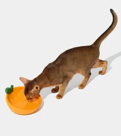 Gamelle mandarine en céramique