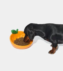 Gamelle mandarine en céramique