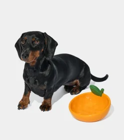 Gamelle mandarine en céramique