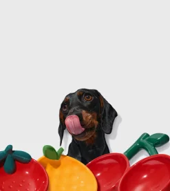 Gamelle mandarine en céramique