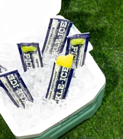 Glace à l'eau Van Holten's - Jus de cornichon