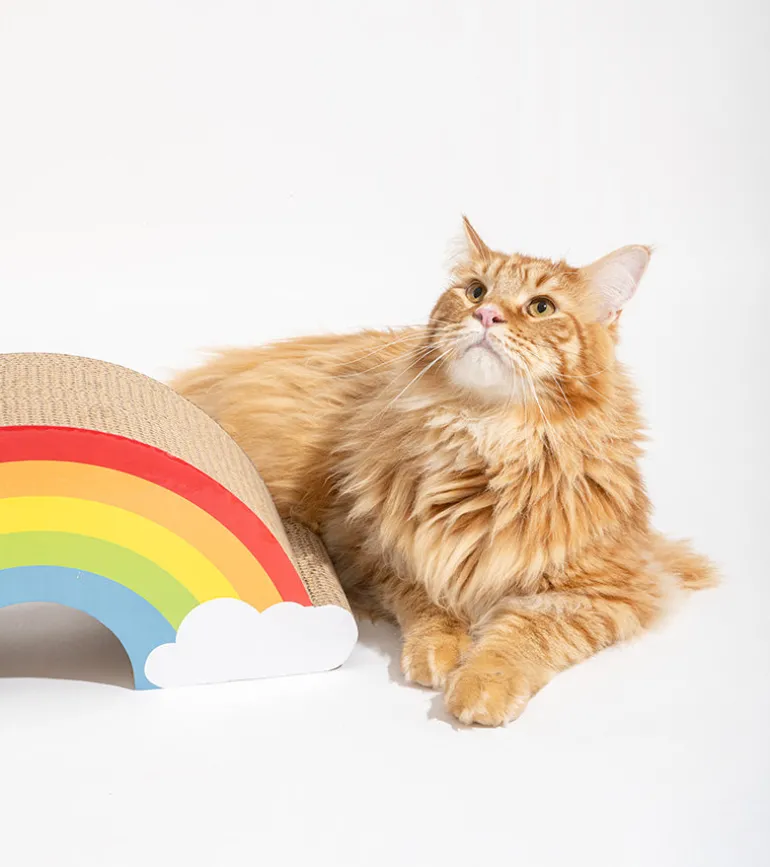 Griffoir arc-en-ciel pour chats