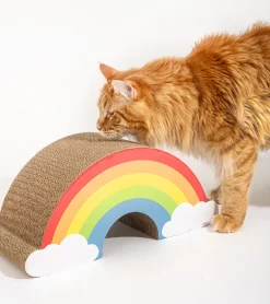 Griffoir arc-en-ciel pour chats