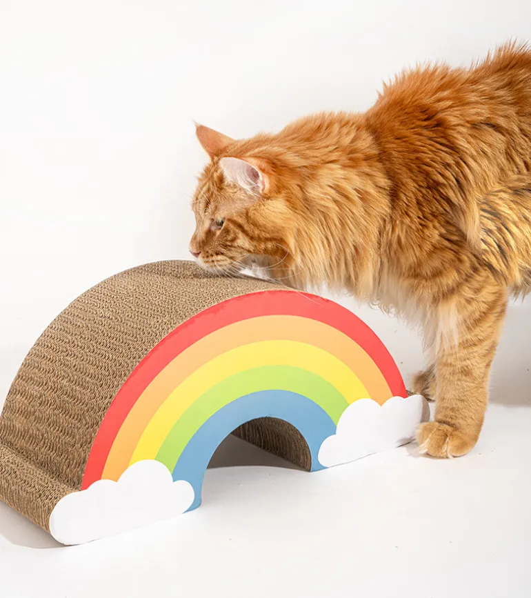 Griffoir arc-en-ciel pour chats