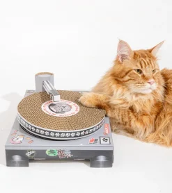 Griffoir DJ set pour chats