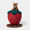 Griffoir fraise pour chats