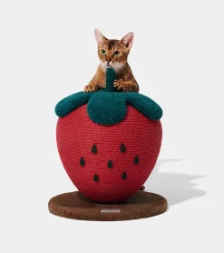Griffoir fraise pour chats