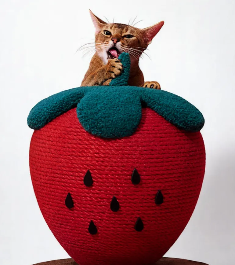 Griffoir fraise pour chats
