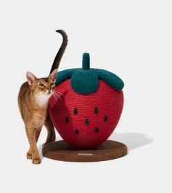 Griffoir fraise pour chats