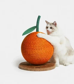 Griffoir mandarine pour chats
