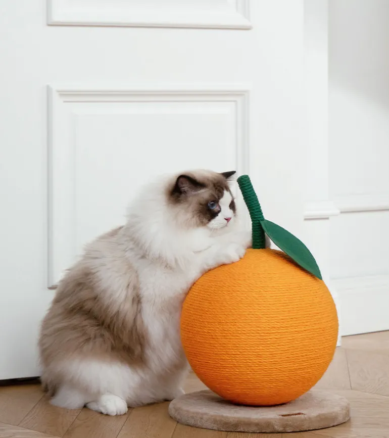 Griffoir mandarine pour chats