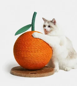 Griffoir mandarine pour chats
