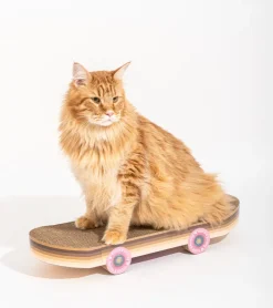 Griffoir skateboard pour chats