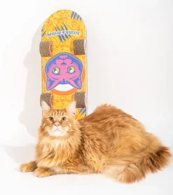 Griffoir skateboard pour chats