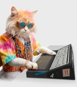 Griffoir synthétiseur pour chats