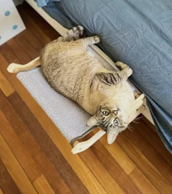 Hamac en bois pour chats