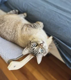 Hamac en bois pour chats