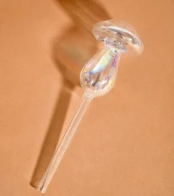 Irrigateur champignon en verre