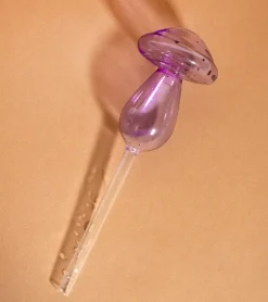Irrigateur champignon en verre