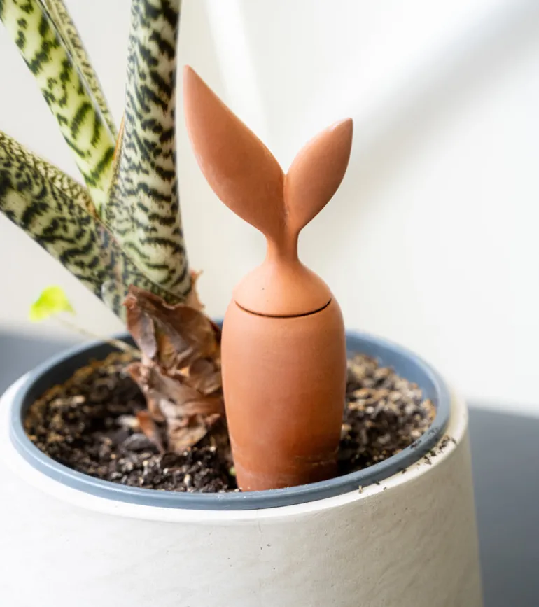 Irrigateur en terre cuite