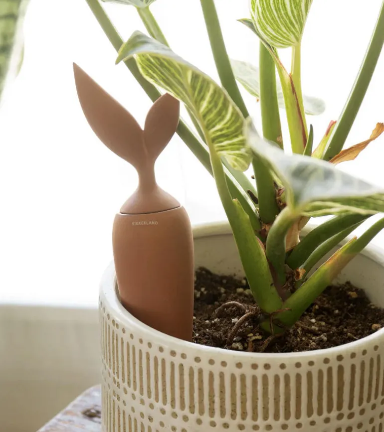 Irrigateur en terre cuite