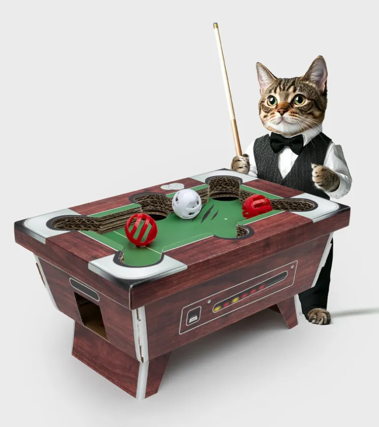 Jeu Billard pour chats