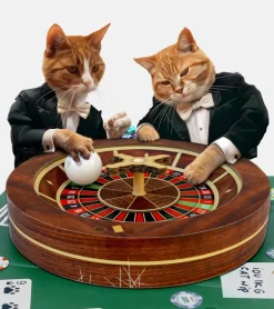Jeu roulette casino pour chats