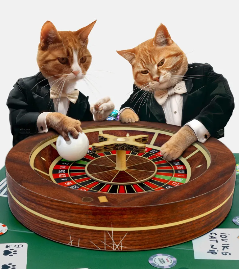 Jeu roulette casino pour chats