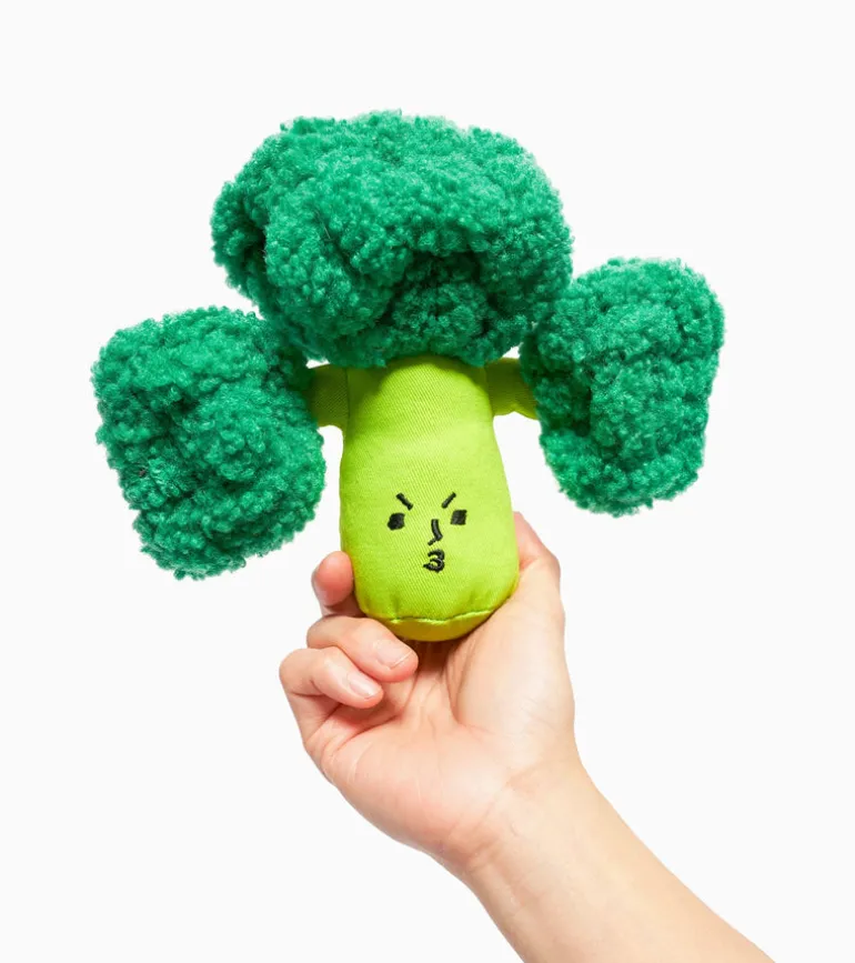 Jouet de flair pour chiens - Brocoli