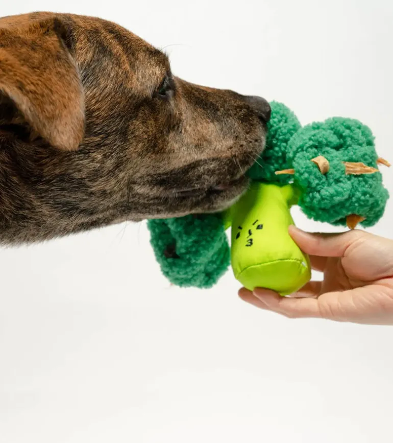 Jouet de flair pour chiens - Brocoli