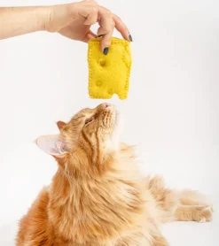 Jouet gourmand pour chats