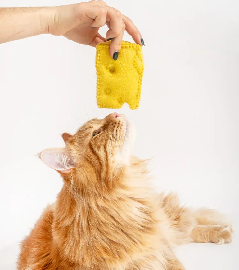 Jouet gourmand pour chats