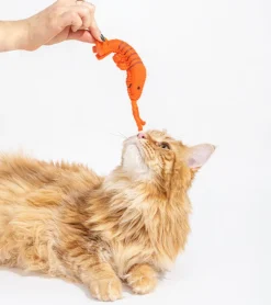 Jouet gourmand pour chats