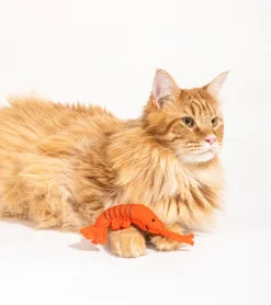 Jouet gourmand pour chats