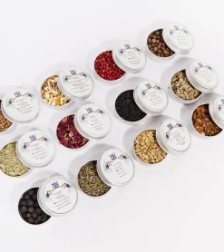 Kit pour infuser votre gin